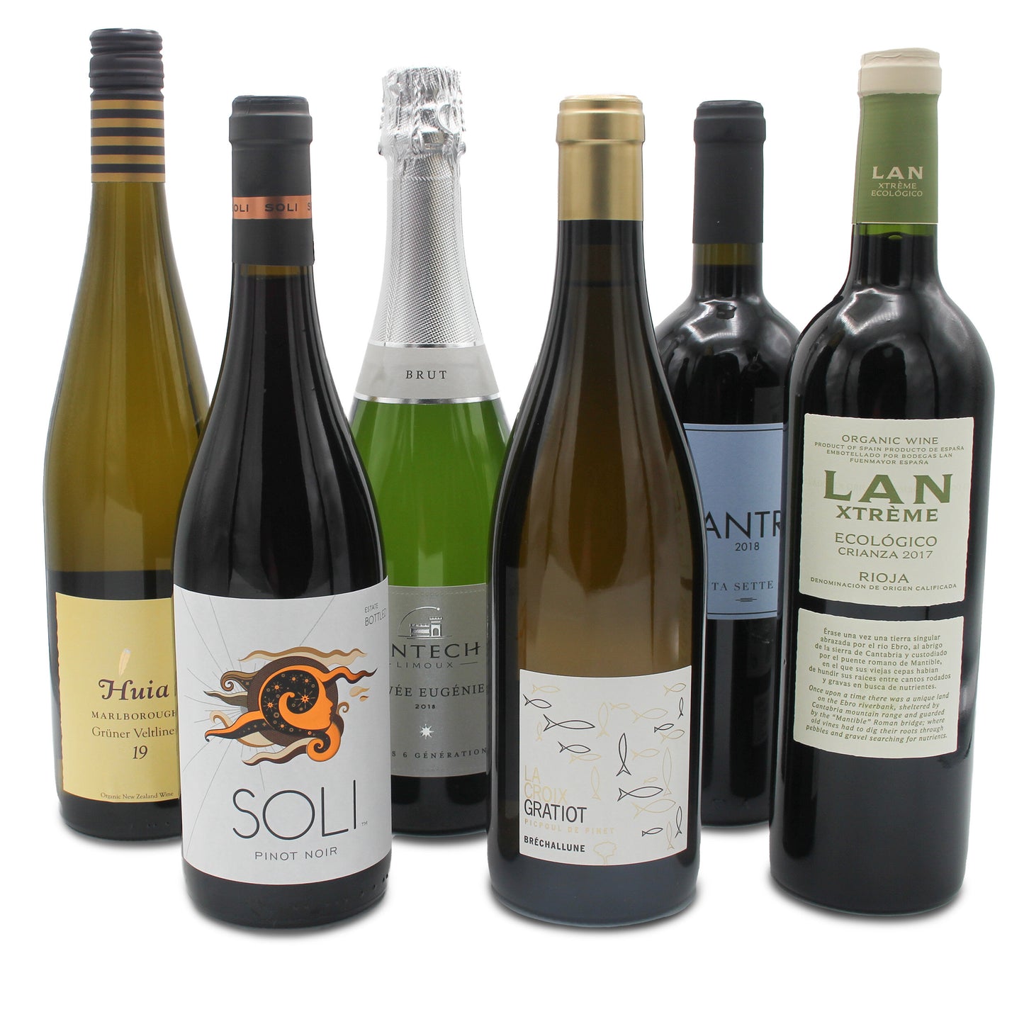 Women in Wine: Select Box